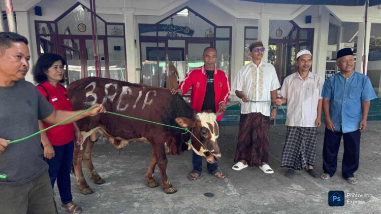 PDIP Tulungagung Salurkan Sapi Kurban di Masjid Kawasan Makam Kakek Bung Karno