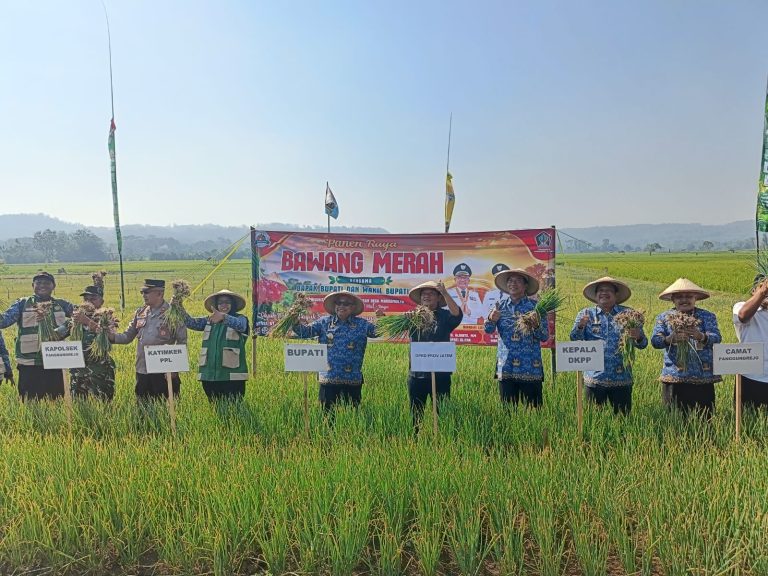 Panen Bawang Merah di Panggungrejo, Pemkab Blitar Tegaskan Komitmen Perkuat Sektor Pertanian