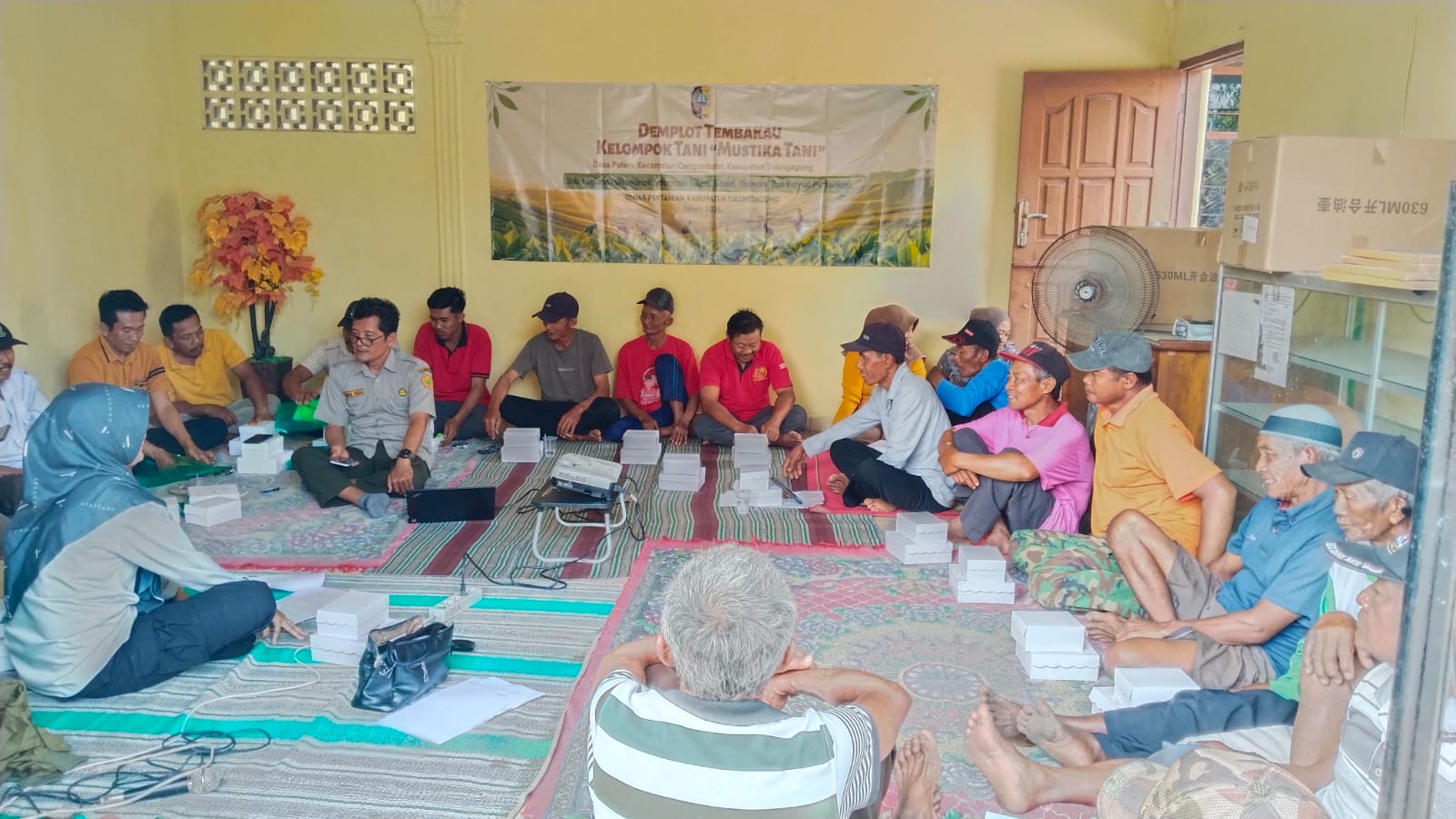 Dinas Pertanian Tulungagung Dorong Petani Hadapi Cuaca Ekstrem melalui Teknologi Demplot Tembakau